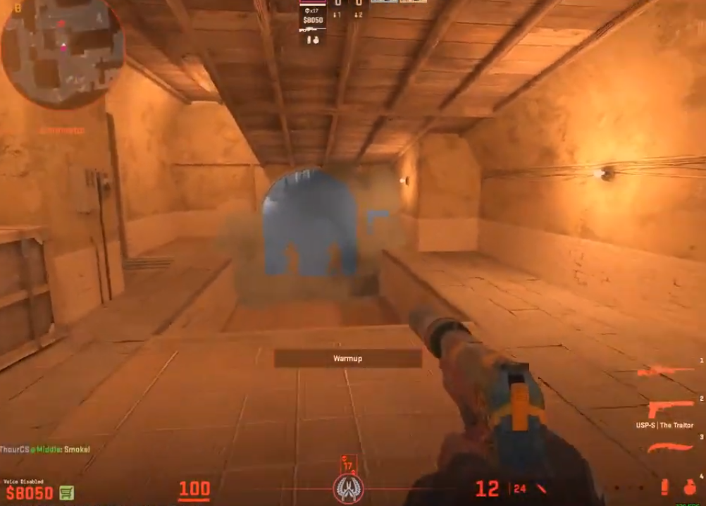 В CS 2 противники видны сквозь дым благодаря настройкам NVIDIA: Необычная точка появления — изображение 2