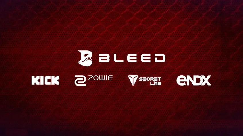 Команда BLEED Esports расширила свой состав, пригласив нового игрока VLD — изображение 1