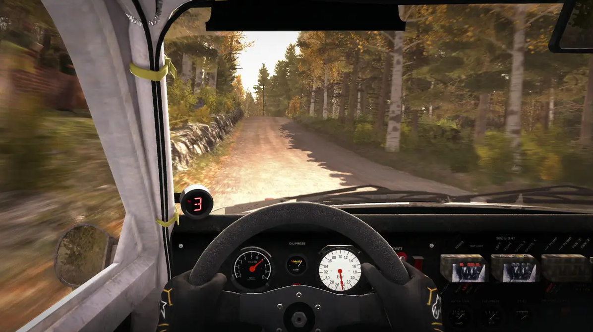 Dirt Rally Превью 4
