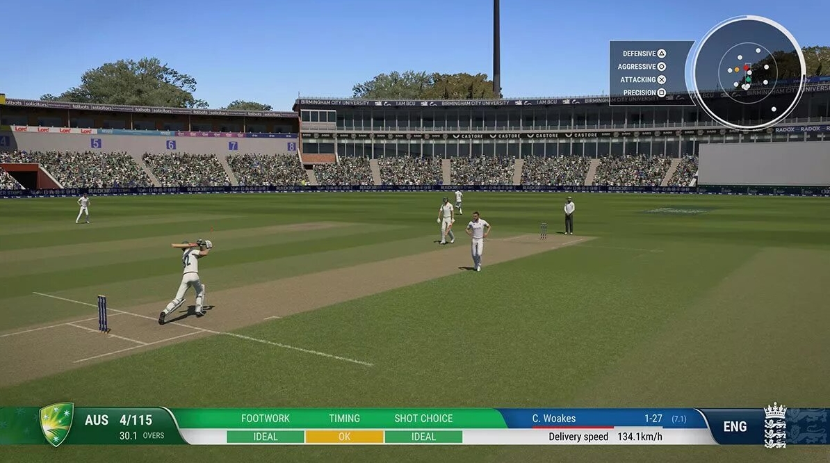 Cricket 24 Превью 1