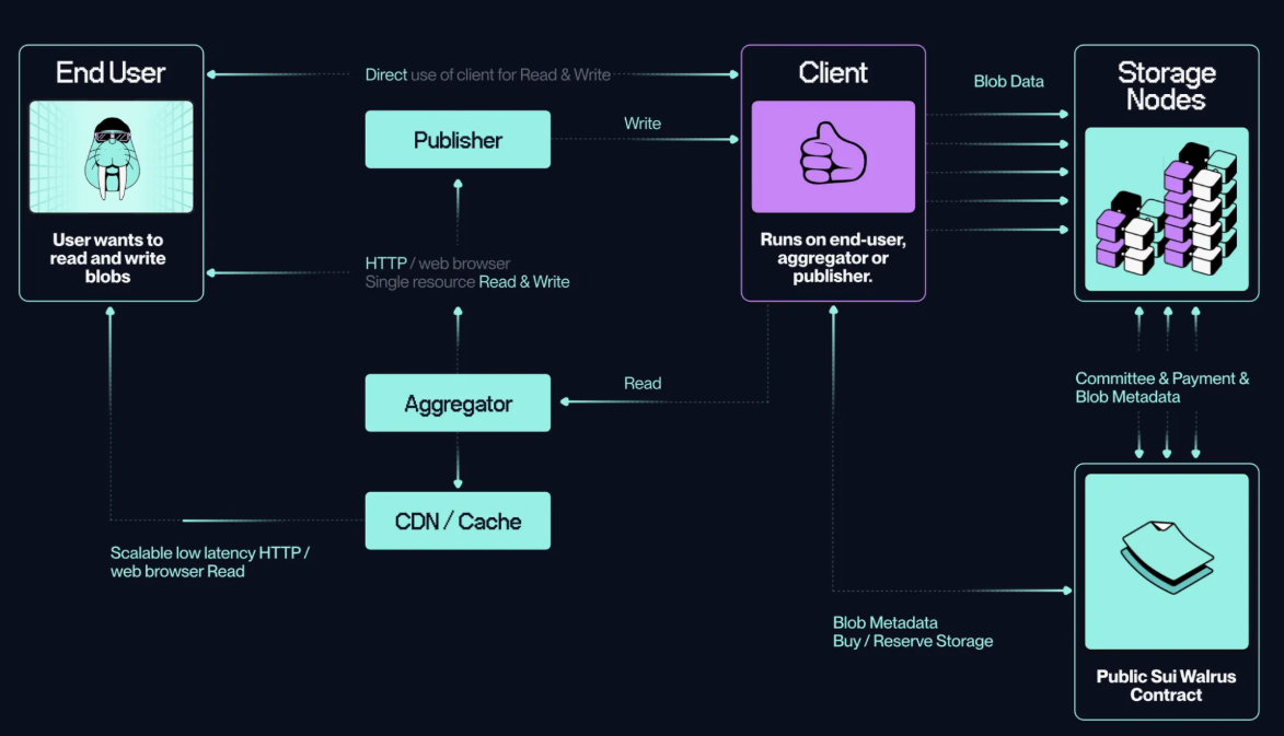 Команда Liquid загружает 250 ТБ архивов в Walrus: зачем клубу нужен блокчейн-репозиторий? — изображение 2