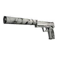 USP-S | Whiteout (Well-Worn)